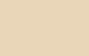 Polyesterikangas PVC-pinnoitteella beige, Covermaster 697 798